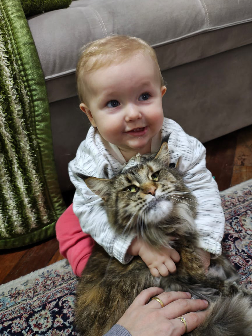 Baby With Maine Coon cat